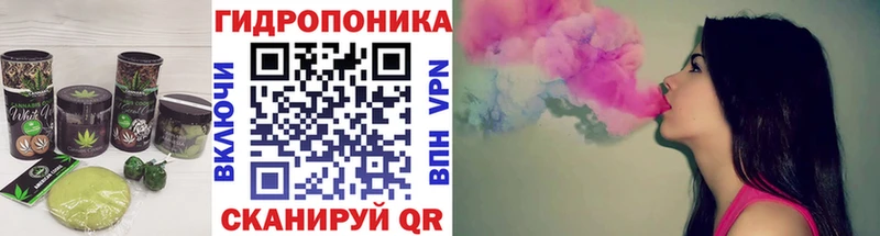 Canna-Cookies марихуана  купить  цена  Красный Холм 