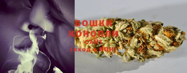 молекула духа Белокуриха