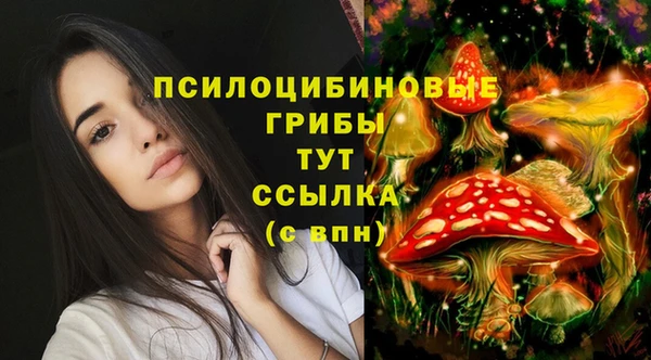молекула духа Белокуриха
