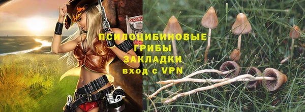молекула духа Белокуриха