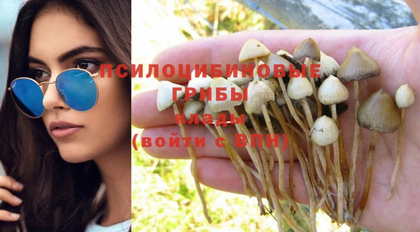 бошки Беломорск