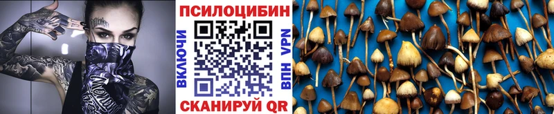 hydra зеркало  Красный Холм  Галлюциногенные грибы Magic Shrooms 